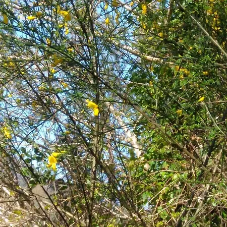 Casa Do Palheiro Ferienhaus