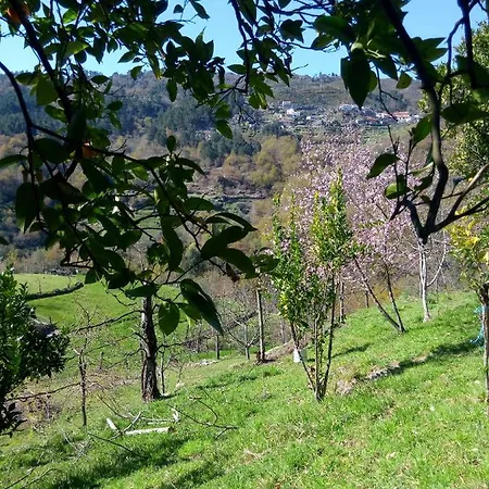 בית נופש Casa Do Palheiro