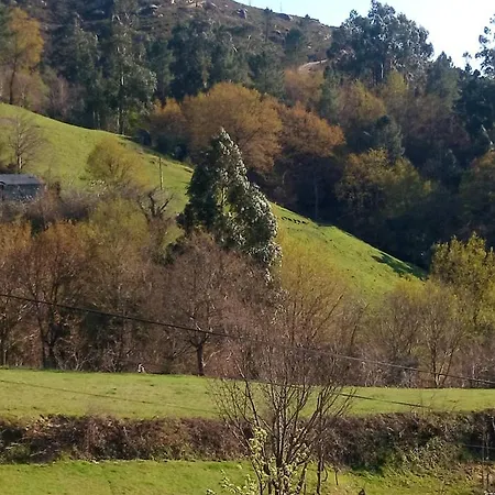 Casa Do Palheiro Montalegre