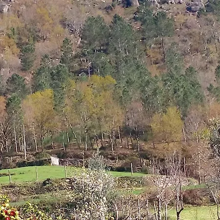 בית נופש Casa Do Palheiro מונטאלגרה