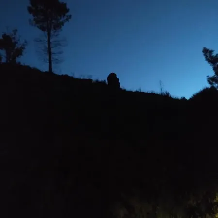 Casa Do Palheiro Ferienhaus