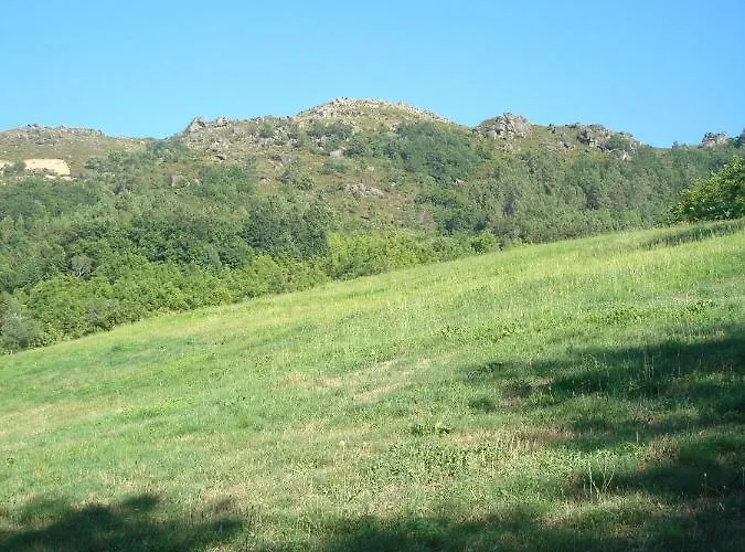 Holiday home Casa Do Palheiro Montalegre