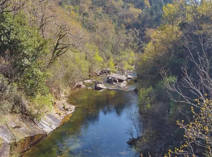 Casa Do Palheiro بيت للعطل