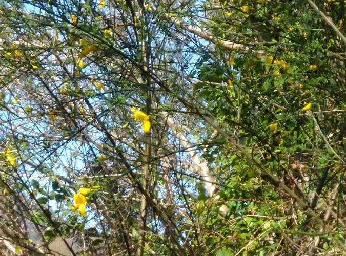 Casa Do Palheiro Holiday home