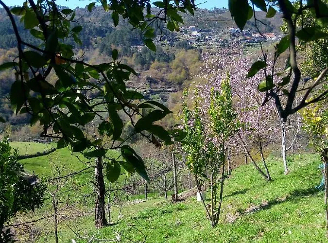 بيت للعطل Casa Do Palheiro