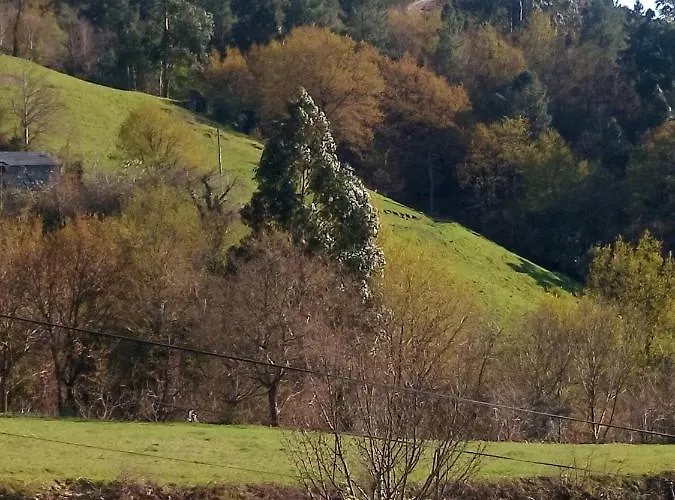 Casa Do Palheiro 몬테알레그레