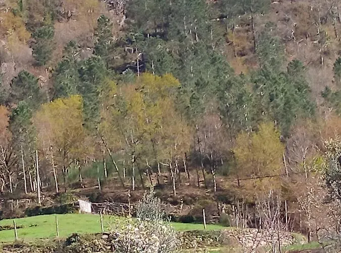 펜션 Casa Do Palheiro 몬테알레그레